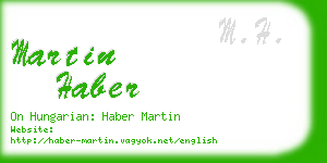 martin haber business card